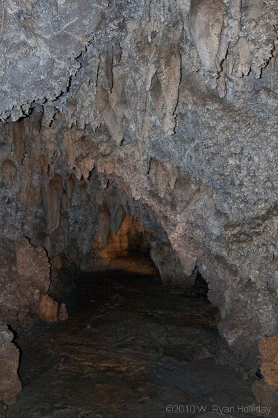 Timpanogos Cave Stalactites
