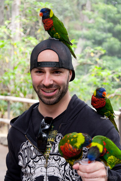 Aaron and the Rainbow Lorikeets