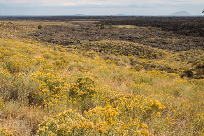 Craters of the Moon landscape