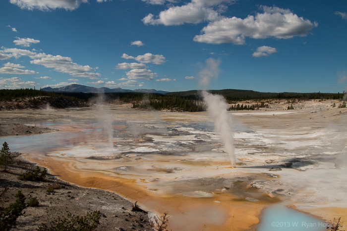 Porcelain Basin in Norris Geyser Basin