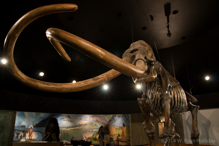 Mastodon at the La Brea Tar Pits