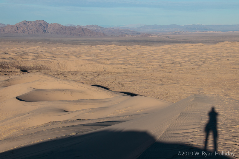 Self-portrait, Kelso Dunes, Mojave National Preserve