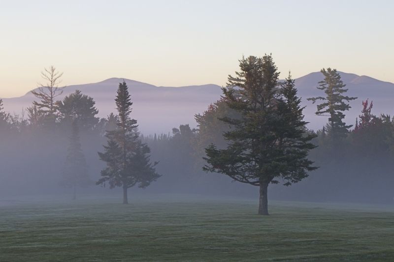 Early morning fog in the White Mountains