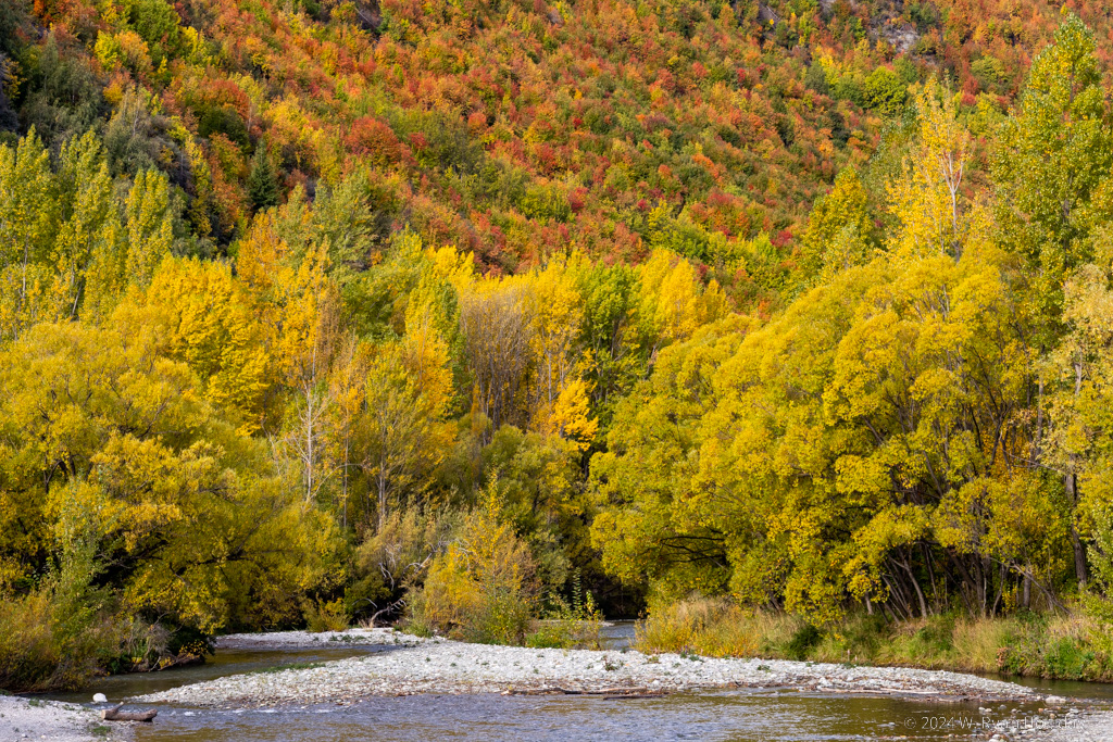 Arrowtown Fall Color