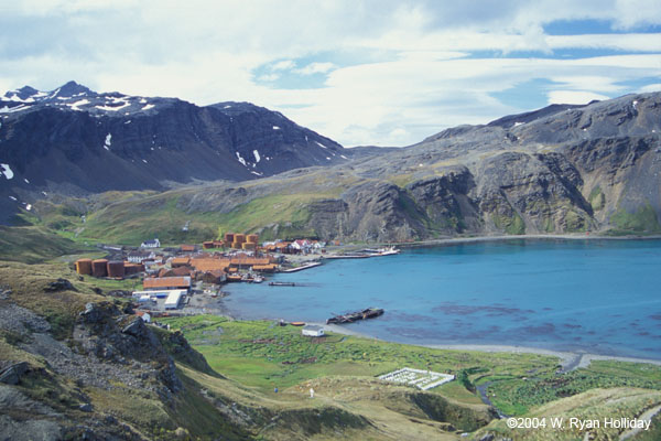 Grytviken Whaling Station