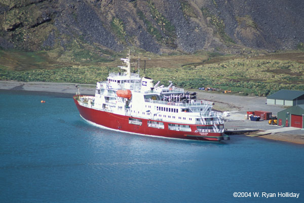 M/V Polar Star in Grytviken Harbor