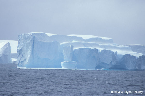 Iceberg Near Shingle Cove