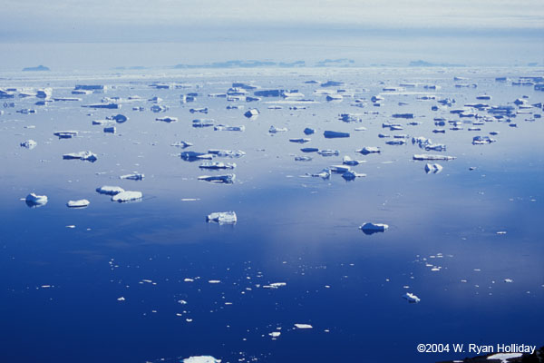 Sea Ice Near Paulet