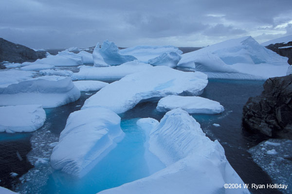 Grounded Icebergs