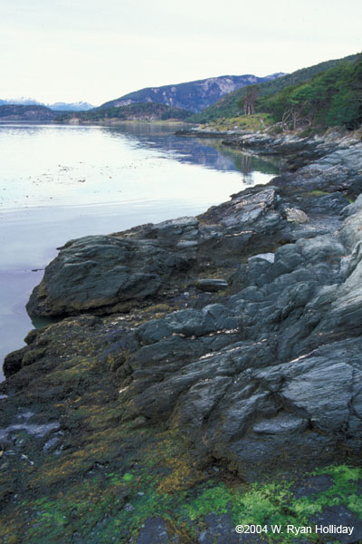 Ensenada Bay