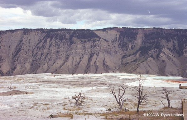 Mammoth Hot Springs