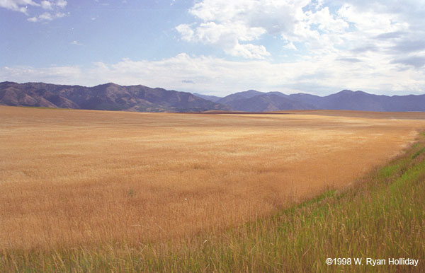 Idaho Landscape