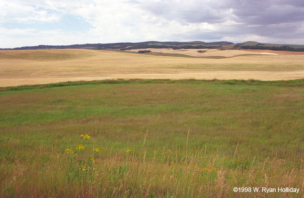 Idaho Landscape