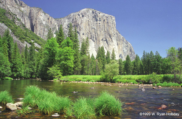 Merced River and El Capitan