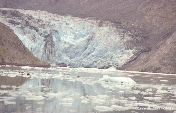 Glacier Bay Landscape