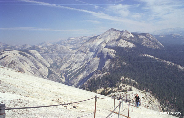 Half Dome Cables