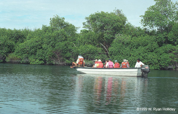 Panga Tour