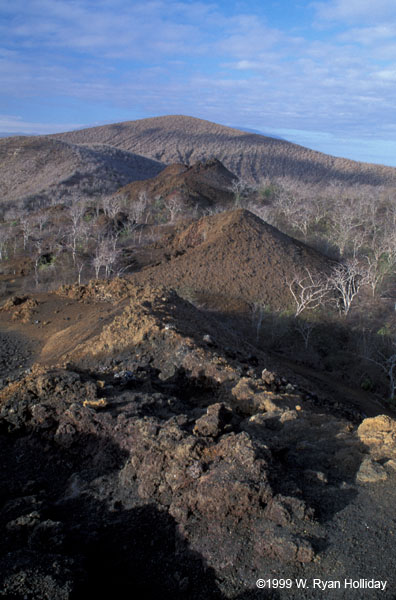 Volcanic Landscape