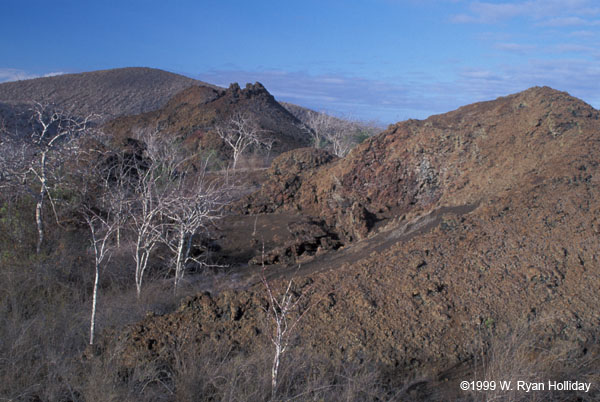 Volcanic Landscape