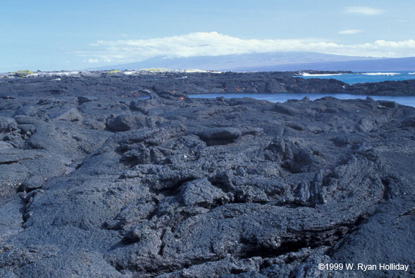 Lava Beach