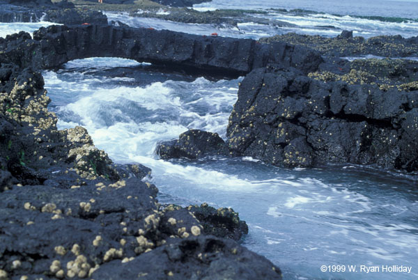 Lava Bridge