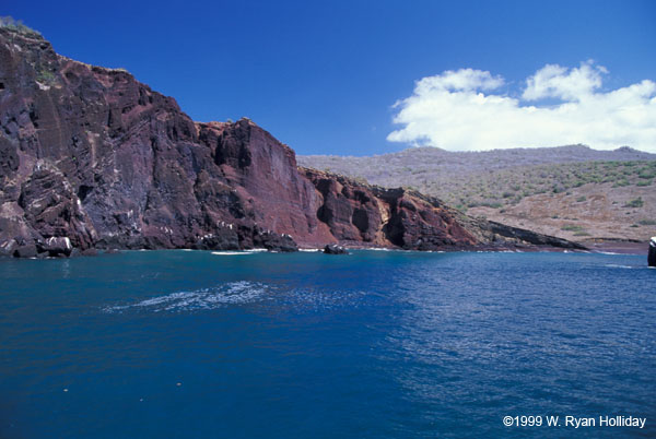 Galapagos Coastline