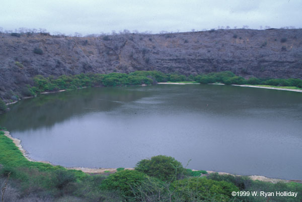 Volcanic Crater