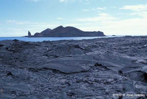 Lava Flow and Bartolome Island