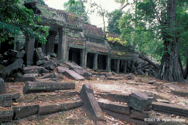 Ta Prohm