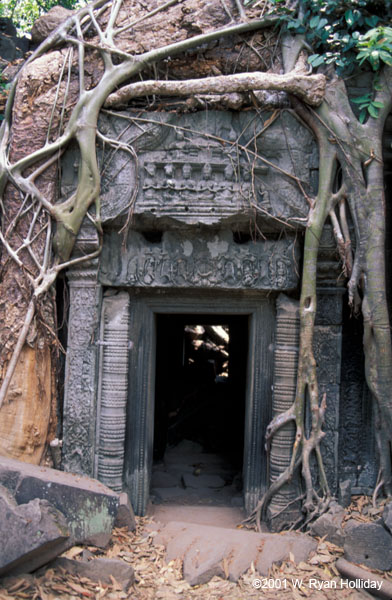 Ta Prohm