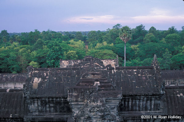 Angkor Wat and Jungle