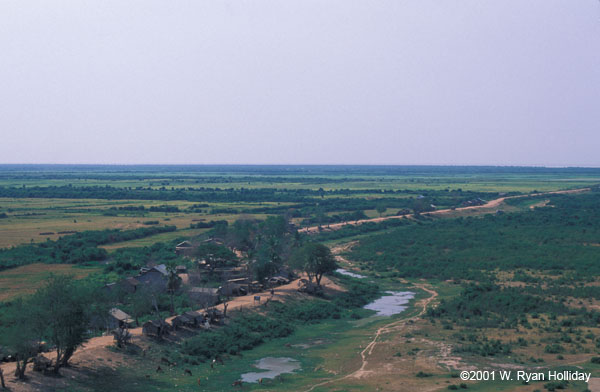 Rice paddies