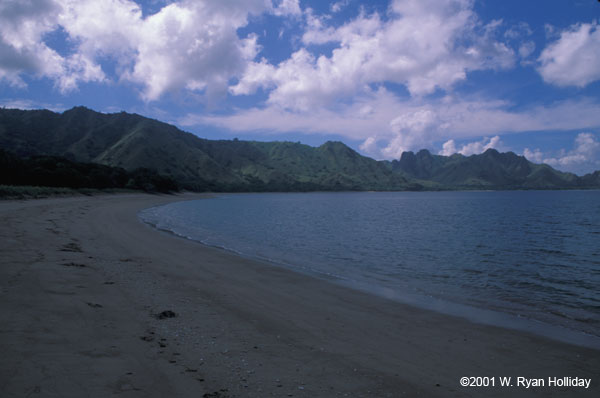 Komodo Island Beach