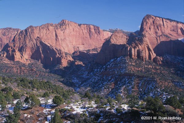 Winter Landscape