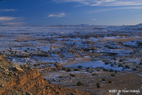 Winter Landscape