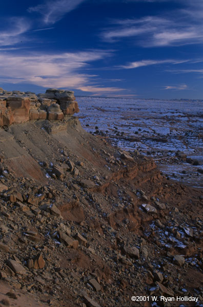 Winter Landscape