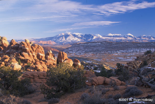 Winter Landscape