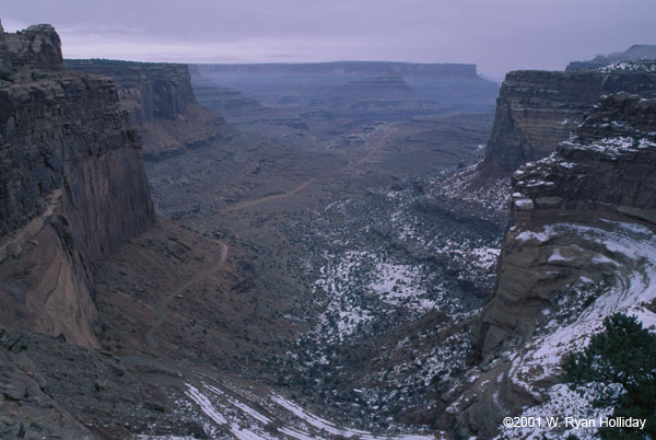 Winter Landscape