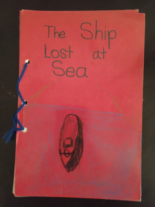 The Ship Lost at Sea