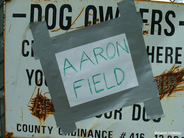 Aaron Field