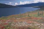 Tundra and Wonder Lake