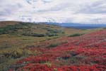 Tundra and Denali in clouds