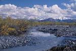 McKinley River and Alaska Range