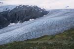 Exit Glacier