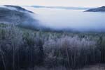 Fog in the Canadian Rockies