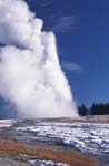 Old Faithful Geyser