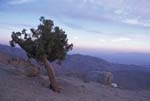 Keys View at Sunset