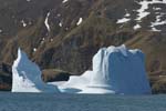 Iceberg in Fortuna Bay