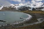 Elephant Seals on Beach