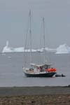 Golden Fleece in St. Andrews Bay